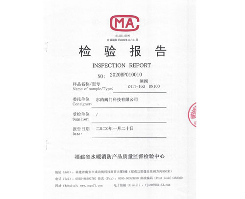 闸阀检验报告